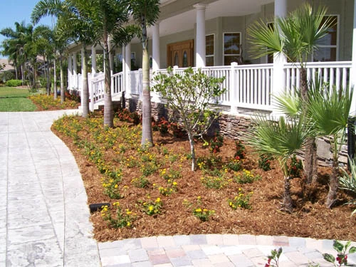 Tampa home with new landscaping installed.